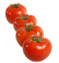 Fresh tomatoes isolated on white background