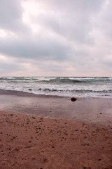 Baltic Sea shore in winter