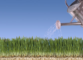 Pouring grass