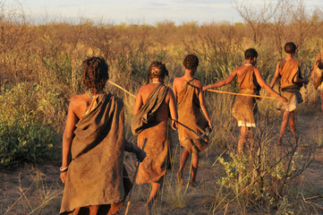 bushmen in the kalahari desert - obrazy, fototapety, plakaty