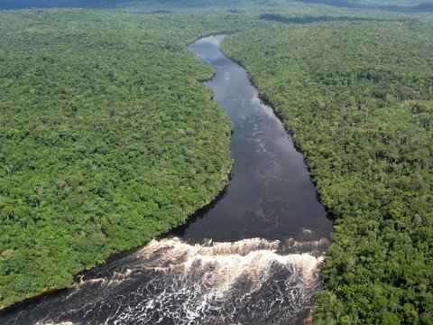 Tropischer Fluss