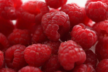 Himbeeren auf neongruenem Kissen