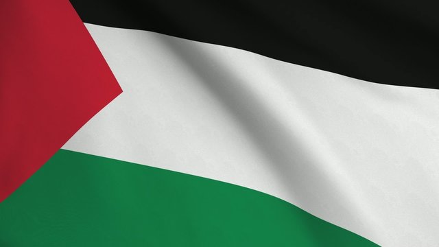 Palestinean Flag