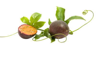 Passiflora fruit  and vine isolated on white background