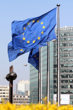 Drapeaux Européens à Bruxelles