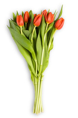 Bouquet Of Tulips