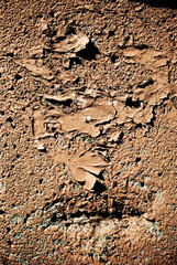 Abstract texture of a grunge old wall