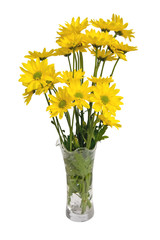Flowers with Clipping Path
