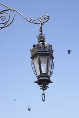 Fototapeta na wymiar street lamp and pigeons in Cracow