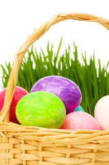 Eggs in the basket and grass isolated on white
