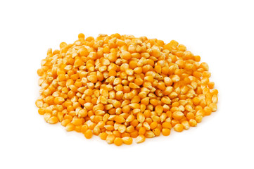 Corn seeds isolated on the white background