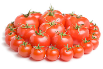 Group of tomatoes-11
