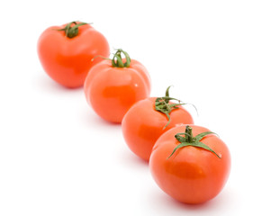 tomato