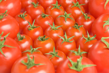 Tomato background-1