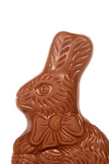 Chocolate bunny on white
