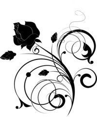 Floral abstraction for design.