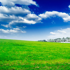 Obraz premium landscape