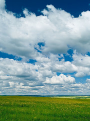 grass and clouds vertical