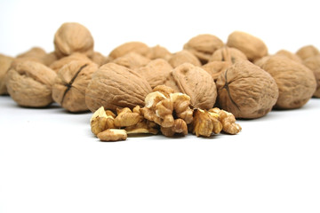 Nozes - Walnuts - hazelnut