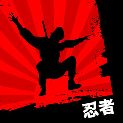 ninja © Emir Simsek