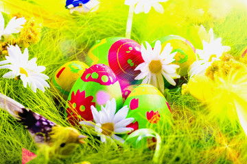 Easter eggs in the nest