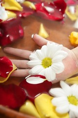 Obraz na płótnie Canvas Aromatherapy, flowers hand bath, rose petal
