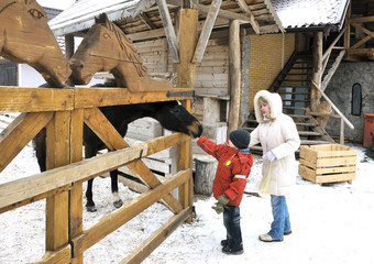 Mother and two sons feed a horse in winter