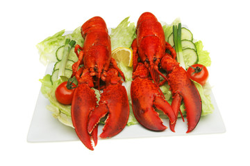 Lobsters and salad