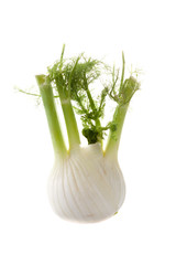 Fennel