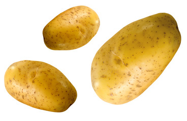 THREE FRESH POTATOES
