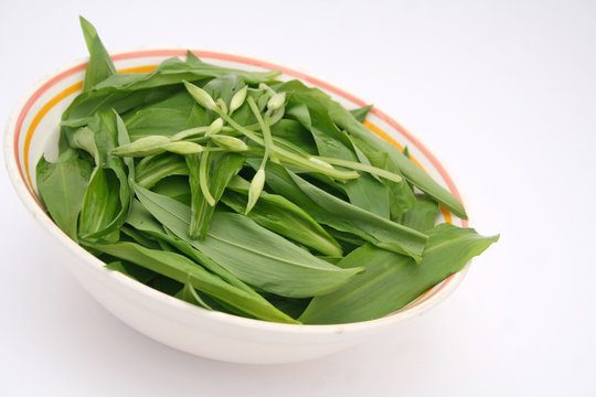 b&auml;rlauch