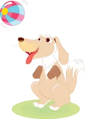 Selbstklebende Fototapeten Hund spielt © GraphicsRF