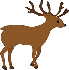 deer