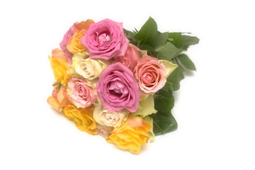 Fototapeta premium Pastel roses