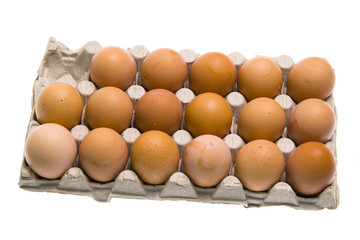eggs