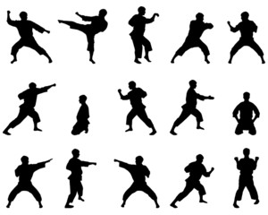 Silhouettes of positions of the karateka. © borisshevchuk