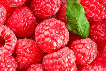 background of wet raspberries