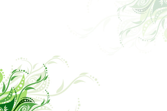 Vector floral background illustration