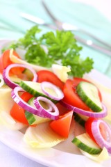 Chicoree Salat mit Tomaten, Gurken und Zwiebel
