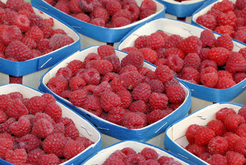 raspberries in containers