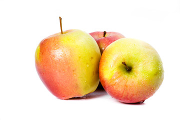 apples