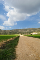 Green Energy - Wind Power