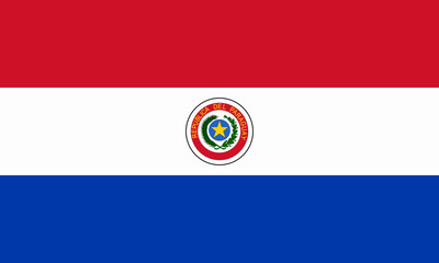 paraguay fahne flag - obrazy, fototapety, plakaty