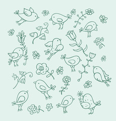 Birds and flowers