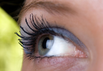 Green eye Macro