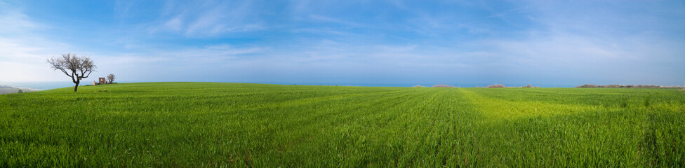 Obraz premium panorama