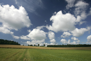 Fototapeta premium Hunsrücklandschaft