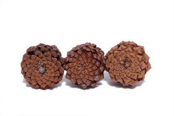 szyszki, cones