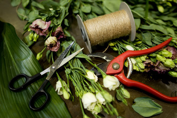 Fiorista ferri del mestiere