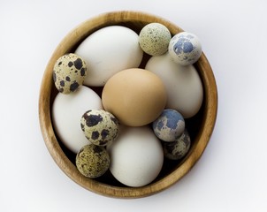 eggs
